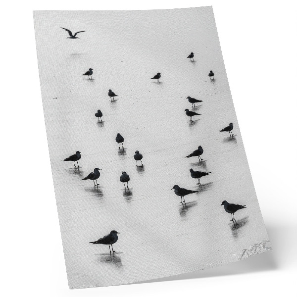 Affiche décorative Oiseaux au-dessus de l'eau, reflets subtils, minimalisme