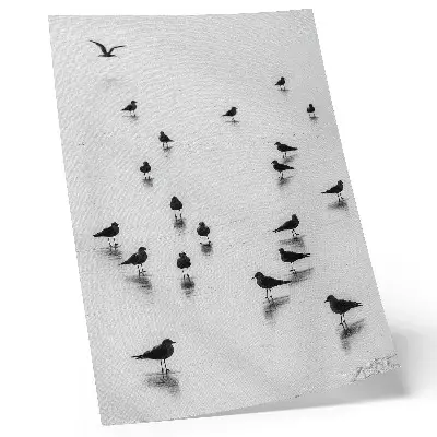 Affiche décorative oiseaux au-dessus de l'eau avec des reflets subtils dans un style minimaliste