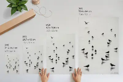 Affiche décorative oiseaux au-dessus de l'eau avec des reflets subtils dans un style minimaliste