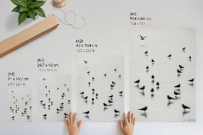 Affiche décorative Oiseaux au-dessus de l'eau, reflets subtils, minimalisme