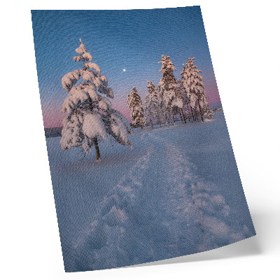 Décoration murale Paysage d'hiver avec des arbres enneigés et la lune