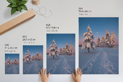 Décoration murale Paysage d'hiver avec des arbres enneigés et la lune