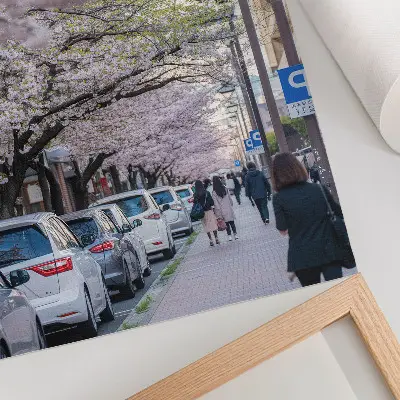 Affiche décorative représentant une rue bordée de cerisiers en fleurs et de voitures garées