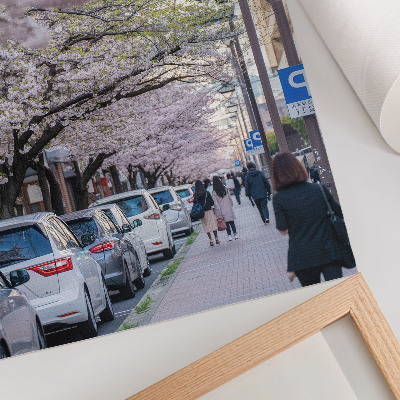 Affiche décorative Une rue bordée de cerisiers en fleurs et de voitures garées