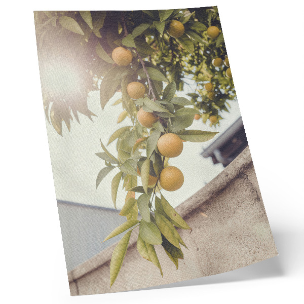 Impression sur toile Branche d'arbre, soleil, feuilles vertes orange