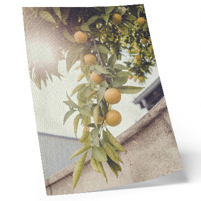 Impression sur toile Branche d'arbre, soleil, feuilles vertes orange