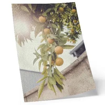 Impression sur toile représentant une branche d'arbre avec un soleil et des feuilles vertes et orange