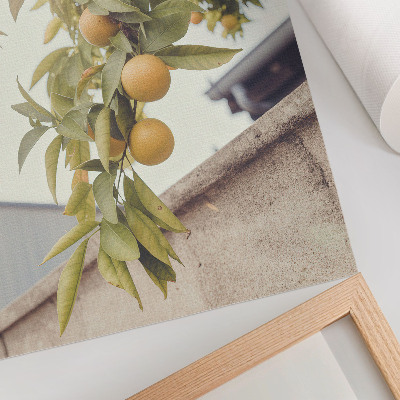Impression sur toile Branche d'arbre, soleil, feuilles vertes orange