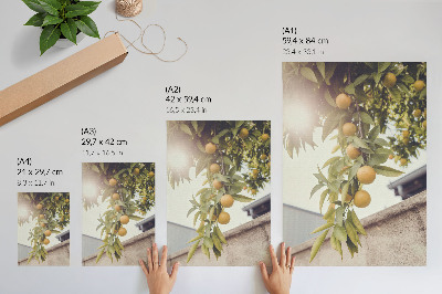 Impression sur toile Branche d'arbre, soleil, feuilles vertes orange