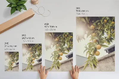 Impression sur toile représentant une branche d'arbre avec un soleil et des feuilles vertes et orange