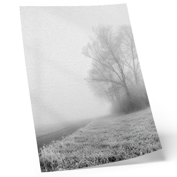 Affiche décorative Brume subtile, arbres, paysage d'hiver, atmosphère paisible