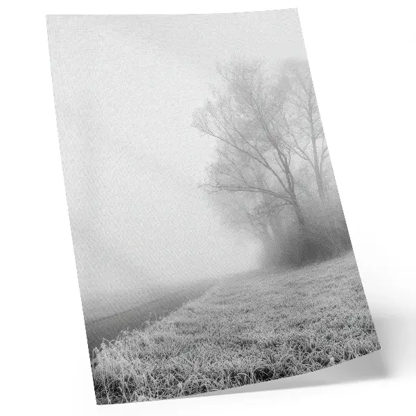 Affiche décorative brume subtile avec arbres dans un paysage d'hiver à l'atmosphère paisible