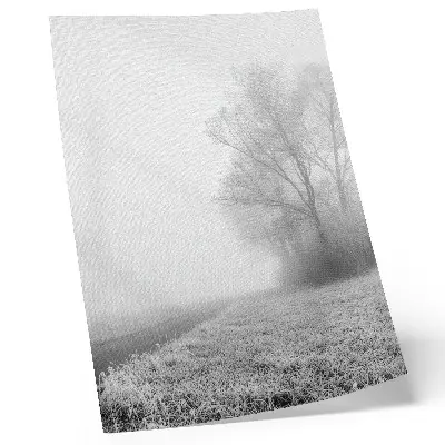 Affiche décorative brume subtile avec arbres dans un paysage d'hiver à l'atmosphère paisible