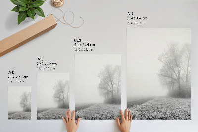 Affiche décorative Brume subtile, arbres, paysage d'hiver, atmosphère paisible
