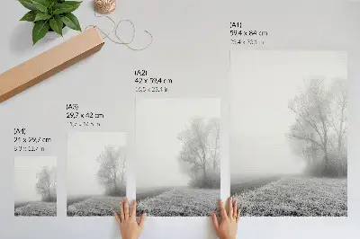 Affiche décorative brume subtile avec arbres dans un paysage d'hiver à l'atmosphère paisible