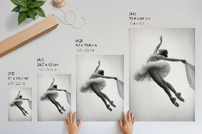 Impression sur toile Une ballerine en mouvement avec grâce et légèreté