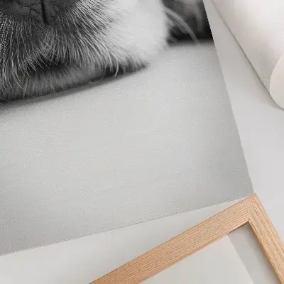 Affiche décorative gros plan d'un chien avec une texture minimaliste en noir et blanc
