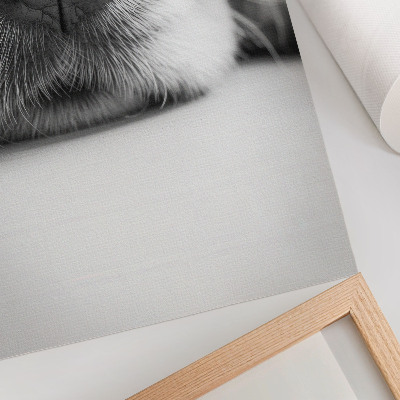 Affiche décorative Gros plan d'un chien, texture minimaliste en noir et blanc