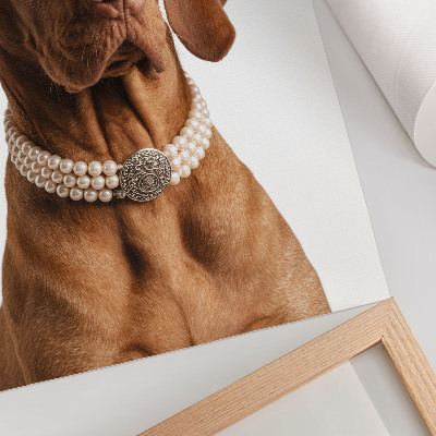 Impression sur toile Collier élégant pour chien avec une finition luxueuse