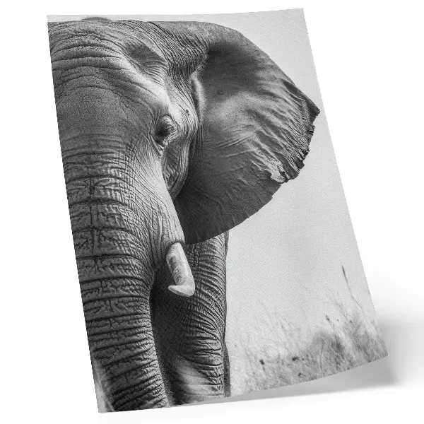 Affiche décorative Ambiance monochrome cuir froissé élégance