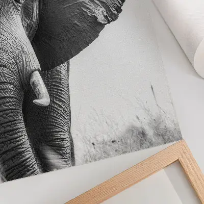 Affiche décorative Ambiance monochrome cuir froissé élégance