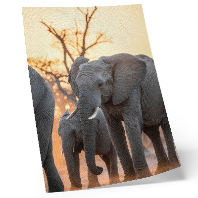 Impression sur toile Des éléphants au coucher du soleil, avec des arbres en arrière-plan.