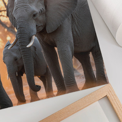 Impression sur toile Des éléphants au coucher du soleil, avec des arbres en arrière-plan.
