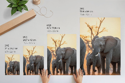 Impression sur toile Des éléphants au coucher du soleil, avec des arbres en arrière-plan.