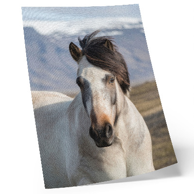 Décoration murale La beauté naturelle d'un cheval sur fond de montagnes, la tranquillité, la simplicité