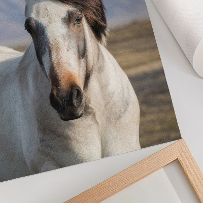 Décoration murale La beauté naturelle d'un cheval sur fond de montagnes, la tranquillité, la simplicité