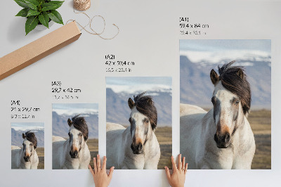 Décoration murale La beauté naturelle d'un cheval sur fond de montagnes, la tranquillité, la simplicité