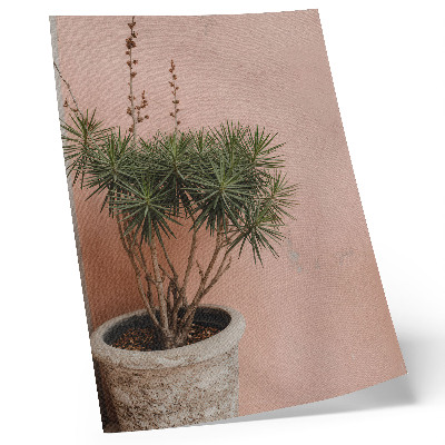 Décoration murale Plante verte sur fond de mur couleur pêche