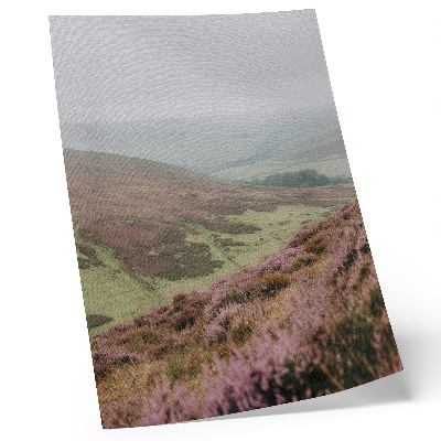 Affiche décorative Brume de bruyère violette, douces collines verdoyantes
