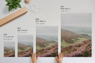 Affiche décorative Brume de bruyère violette, douces collines verdoyantes