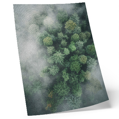 Impression sur toile Des arbres verts enveloppés d'une délicate brume blanche