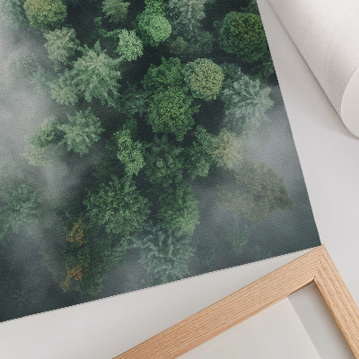 Impression sur toile Des arbres verts enveloppés d'une délicate brume blanche