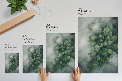 Impression sur toile Des arbres verts enveloppés d'une délicate brume blanche