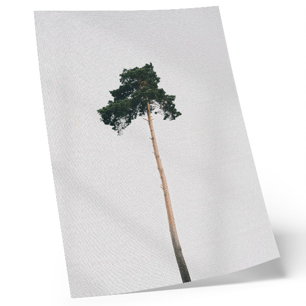 Impression sur toile Un arbre solitaire sur un fond clair, dans un esprit minimaliste.