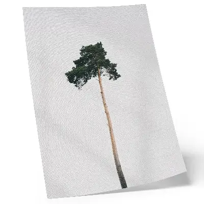 Impression sur toile représentant un arbre solitaire sur fond clair dans un esprit minimaliste