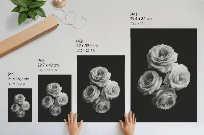 Affiche décorative roses noires et blanches au style minimaliste et à l'élégance classique