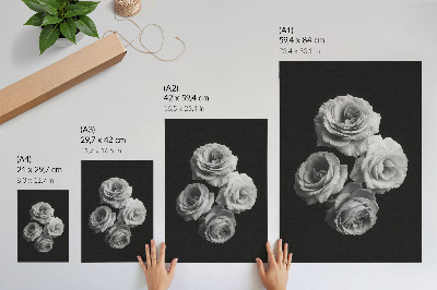 Affiche décorative Roses noires et blanches, minimalisme, élégance classique