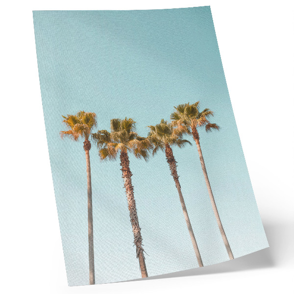 Impression sur toile Palmiers sur fond bleu, paix et nature pendant les vacances