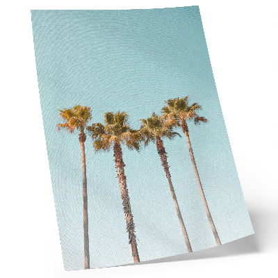 Impression sur toile Palmiers sur fond bleu, paix et nature pendant les vacances
