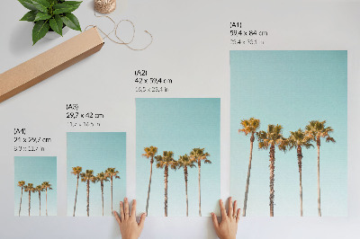 Impression sur toile Palmiers sur fond bleu, paix et nature pendant les vacances