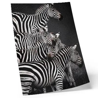 Décoration murale zèbre aux lignes verticales contrastées noires et blanches