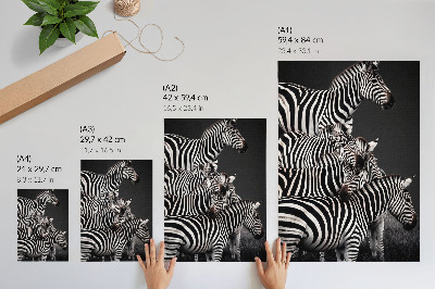 Décoration murale Zèbre lignes verticales contrastées noires et blanches