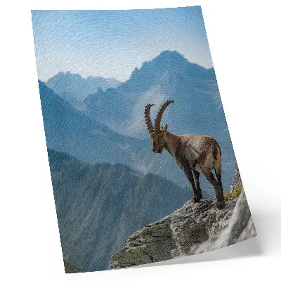 Impression sur toile capricorne sur fond de montagnes dans une harmonie paisible de la nature