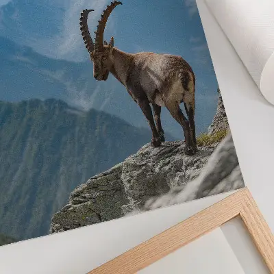 Impression sur toile capricorne sur fond de montagnes dans une harmonie paisible de la nature