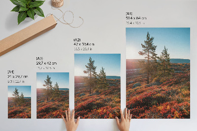 Affiche décorative Arbres majestueux, couleurs chaudes, atmosphère paisible