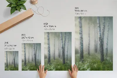Décoration murale représentant des bouleaux dans le brouillard avec une écorce blanche et de l'herbe verte